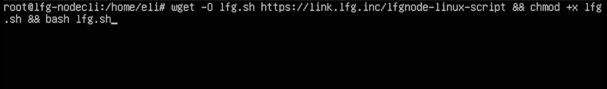 Install LFG Node CLI on Ubuntu Linux